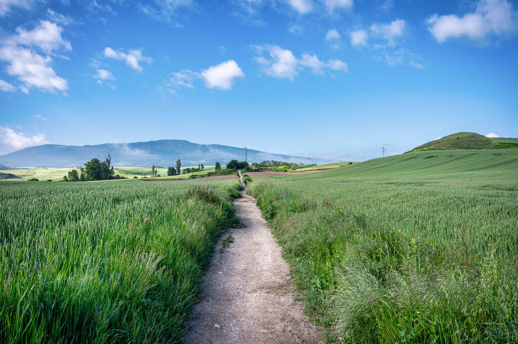 mennyibe-kerul-az-el-camino