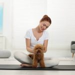 mennyibe-kerul-a-kiskutya-puppy-joga