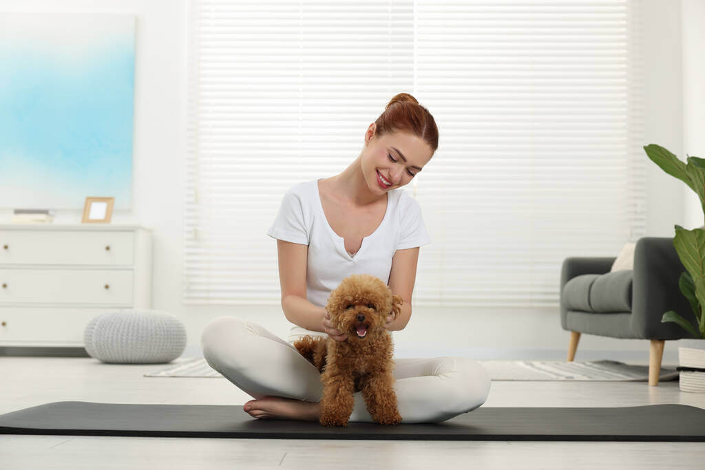 mennyibe-kerul-a-kiskutya-puppy-joga