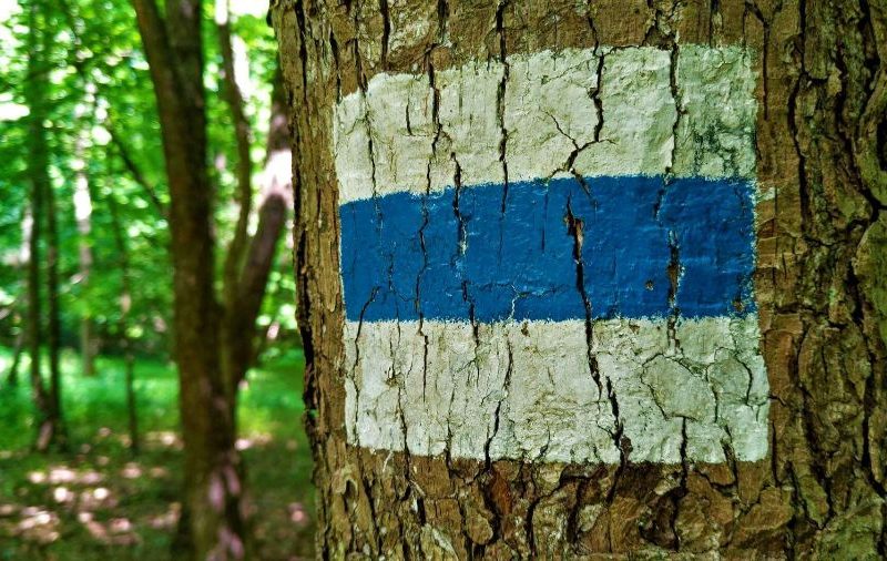 Mennyibe kerül végigjárni az Országos Kéktúrát?