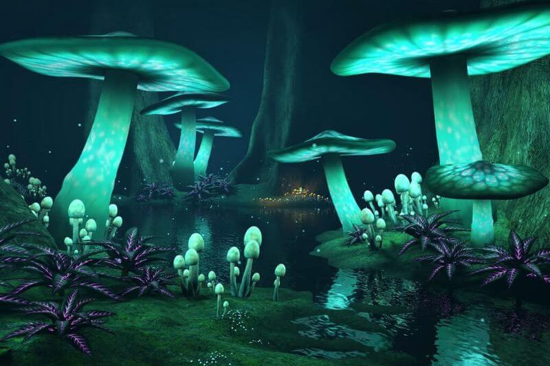 Mennyibe kerülnek a DJ OTI jegyek 2026-ra?