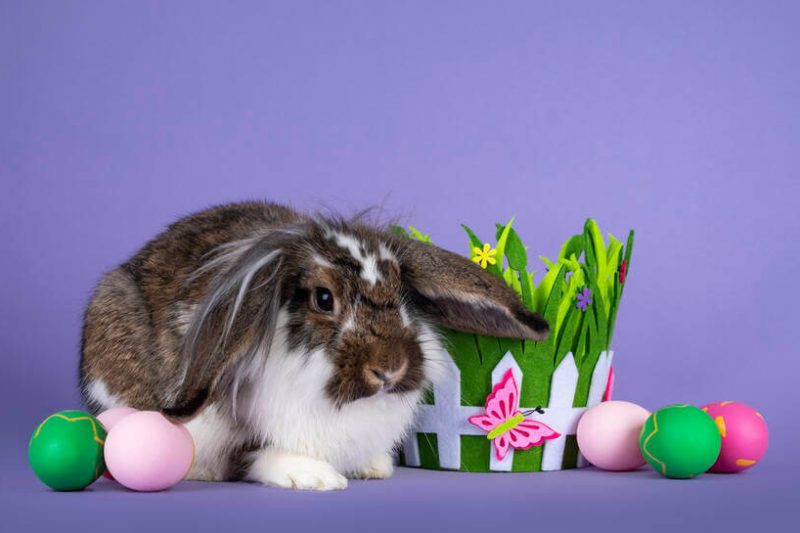 Mennyibe kerül a húsvét 2026-ban?