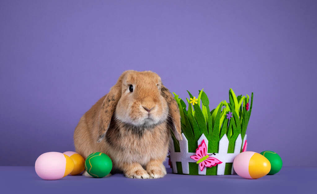 mennyibe-kerul-a-husvet-2026-ban mennyibe-kerul-a-husvet-2026-ban