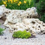 mennyibe-kerul-egy-sziklakert-epitese