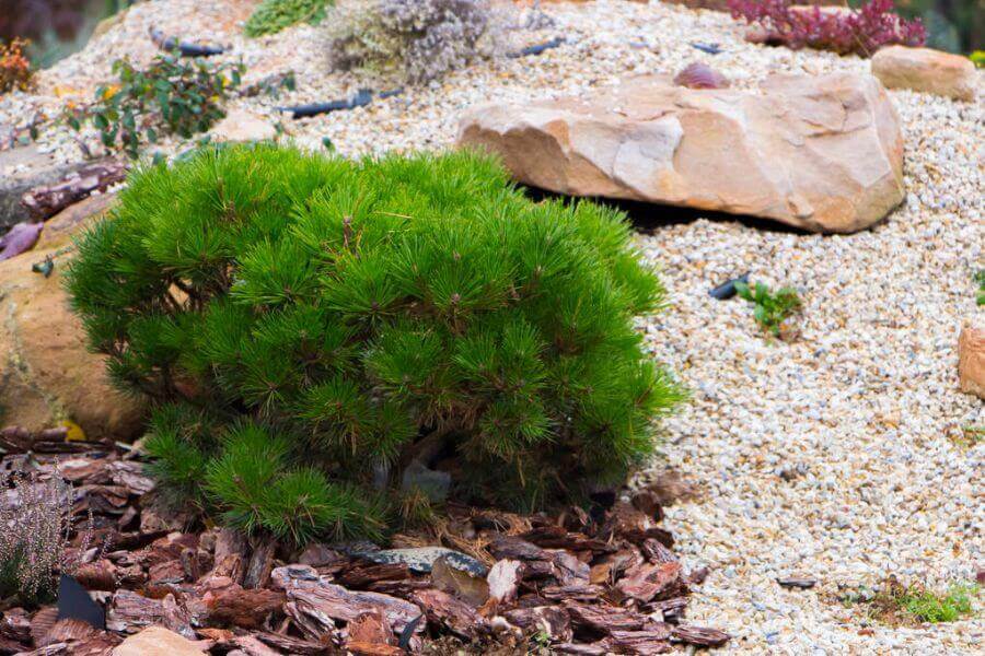 mennyibe-kerul-egy-sziklakert-epitese